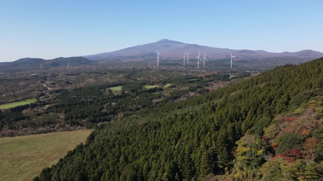 位于韩国济州岛西浦溪的木林加里Oreum(寄生火山)的森林和田野视频素材