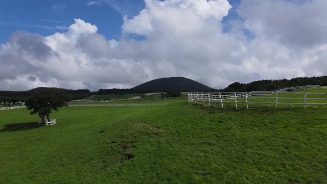 韩国济州岛Jeju-do Jeju-si Jeju-do Jeju-si Let's Run Farm Jeju and Oreum(寄生火山视频素材