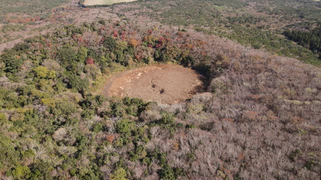 韩国济州岛西浦浦(寄生火山)Mulyeongari Oreum的田野和森林视频素材