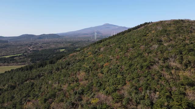 位于韩国济州岛西浦溪的木林加里Oreum(寄生火山)的森林和田野视频素材