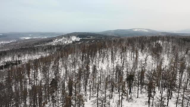 鸟瞰图雪山森林和小山。多云糟糕的多云多雾的天气视频素材