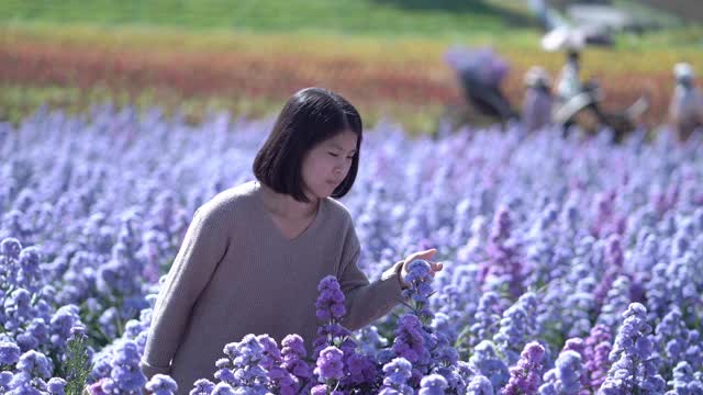 闻紫罗兰花香的女人视频素材