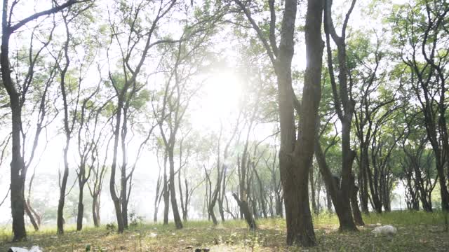 体育美女在森林里进行跳绳运动视频素材