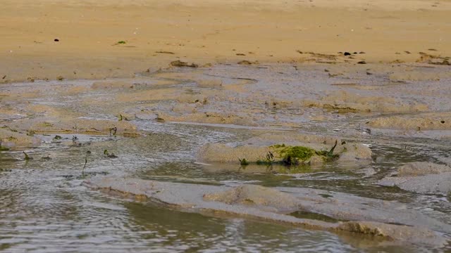 缓慢流动的水在海滩上流淌视频下载