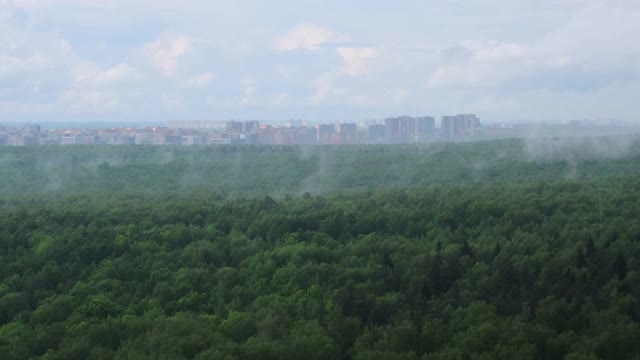 雨下过一片绿色的森林，远处一座城市的房屋在雾中，俯视图视频素材