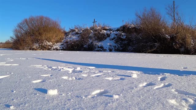 德国牧羊犬在雪中跳跃视频素材