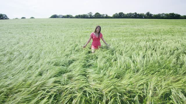 在夏日的田野里的女人视频素材