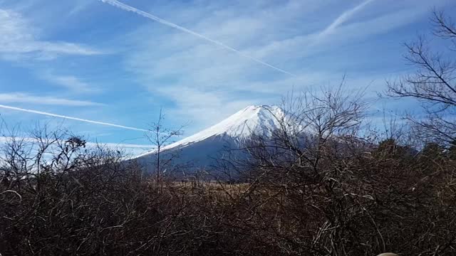 透过树林看富士山视频素材