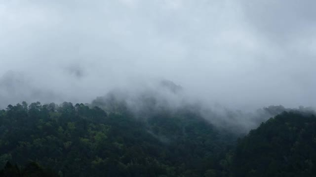 风景雾蒙蒙的绿叶，热带雨林，山脉和丘陵视频素材