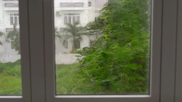 一棵树下着大雨和强风。从被雨淋透的窗户射了出去。热带风暴的概念。包含自然声音视频素材