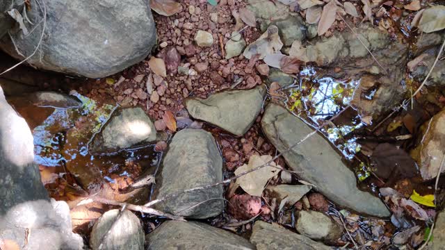 野外溪流中的岩石表面视频素材