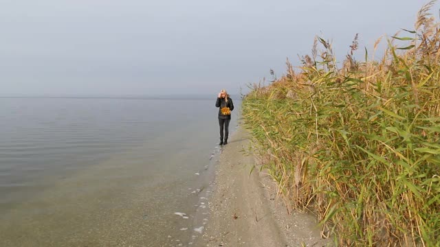 黄橙色的枫树和橡树叶躺在水里。秋天的落叶顺河而下视频素材