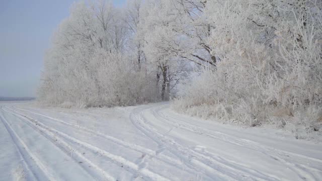 在一个美丽的霜冻的早晨，一名男子走过树木覆盖着积雪的冬季森林。慢动作视频素材