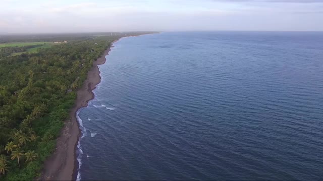 狭长的海滩，海岸边到处是被海水冲上岸的残骸。无人驾驶飞机、空中视频素材