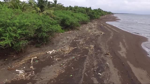 狭长的海滩，海岸边到处是被海水冲上岸的残骸。无人驾驶飞机、空中视频素材