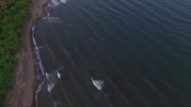 狭长的海滩，海岸边到处是被海水冲上岸的残骸。无人驾驶飞机、空中视频素材