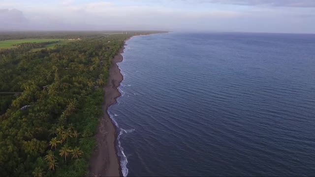 狭长的海滩，海岸边到处是被海水冲上岸的残骸。无人驾驶飞机、空中视频素材