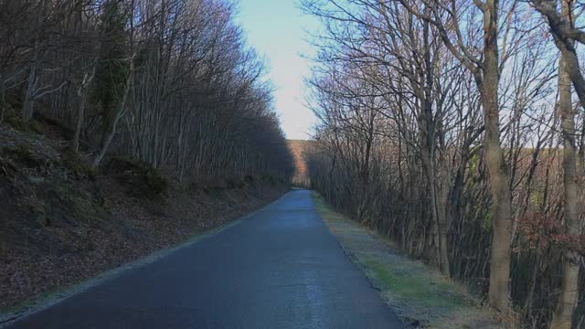 慢镜头，山路在冬天，树木没有叶子视频下载