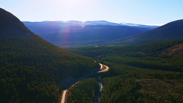 在一个阳光明媚的日子里，道路穿过一个山谷和郁郁葱葱的野松林和山脉。4 k航拍视频。视频素材