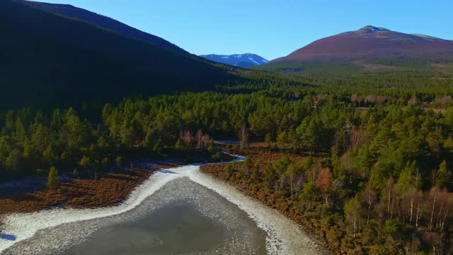 野生山地景观与北方松林和冰川河流。视频素材