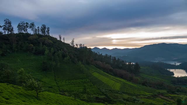 翡翠湖全景，被Nilgiri山的茶园包围，位于Ooty视频素材