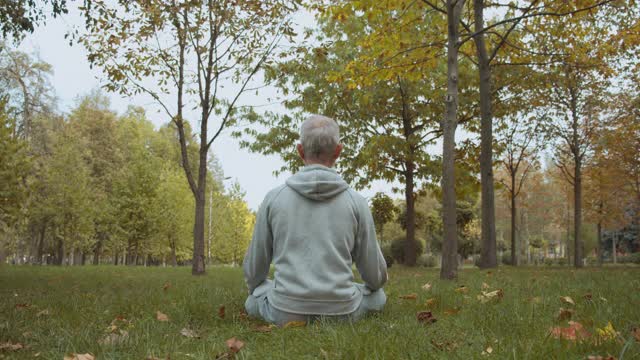 一位白发男子正在做合十礼，坐在公园的草地上，做瑜伽视频素材