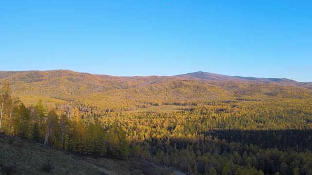 秋天森林的全景。无人驾驶飞机射击。远处有山峰视频素材