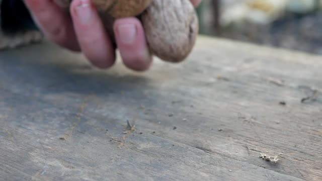 人的手把核桃放在木制的背景上视频素材