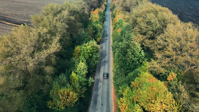 鸟瞰图的白色汽车驾驶在乡村道路视频素材