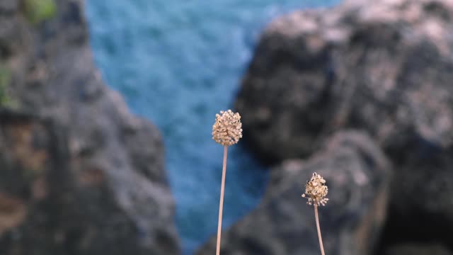 悬崖视频素材