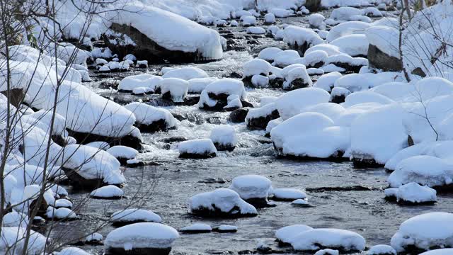 北海道森林小溪降雪视频素材