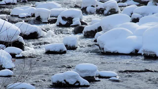 北海道森林小溪降雪视频素材