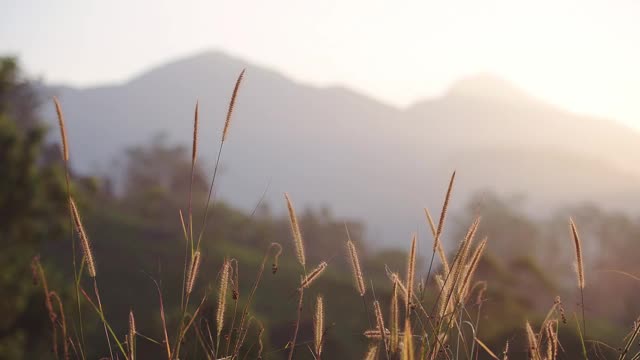 日出时，印度芒纳尔的山脉和丘陵景观视频素材