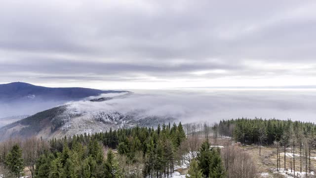 云雾从树梢漫过，飘进山谷，山顶上飘动的云和雪，在云雾中，Beskydy山脉的山峰在云雾中流逝。视频素材