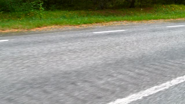 森林里的水泥路的近景视频素材