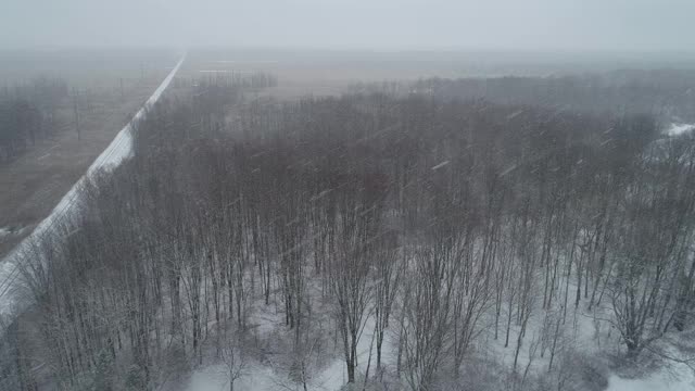 冰冻森林与飘落的雪的空中视频素材