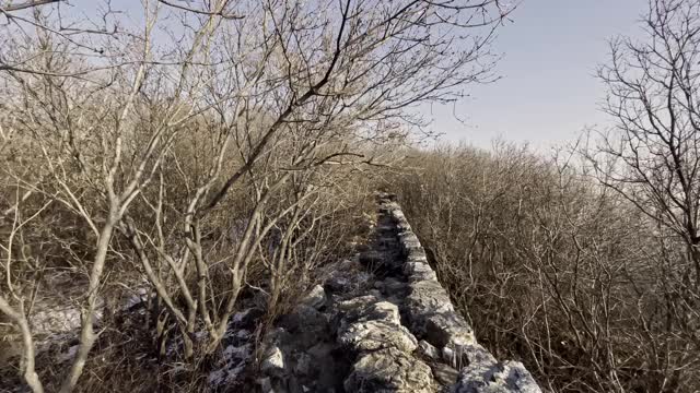 在长城上行走视频素材