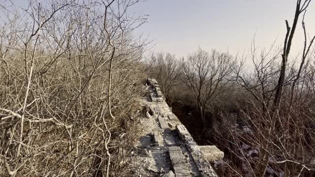 在长城上行走视频素材