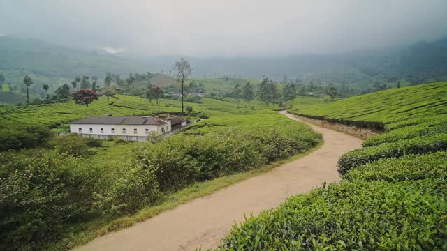 人们在一条乡间公路上，间隔年冒险旅行，在印度穆纳尔全线拍摄视频素材