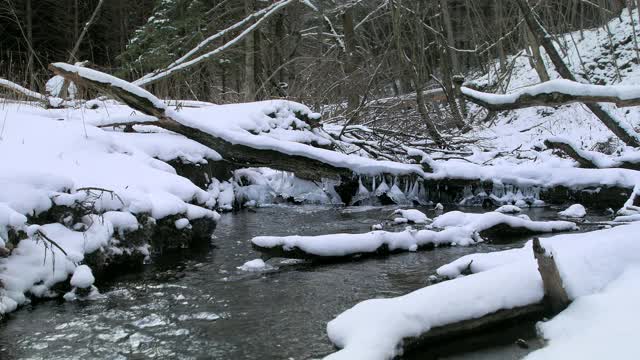 北海道森林小溪降雪视频素材