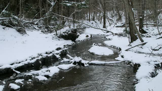 北海道森林小溪降雪视频素材