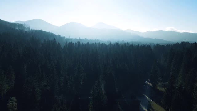 鸟瞰图在雾蒙蒙的早晨，林地和山丘被阳光照亮视频素材