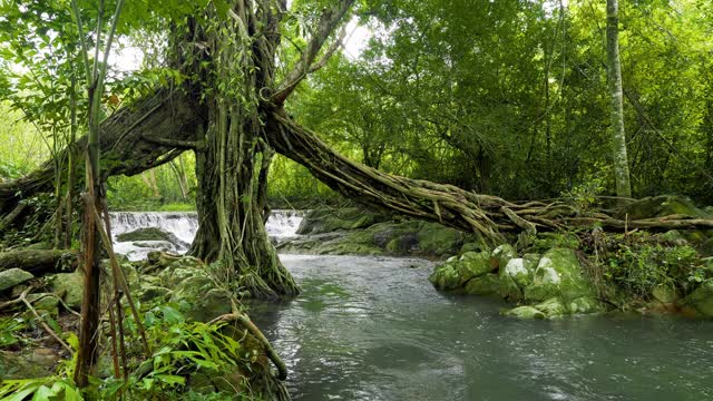 泰国萨拉布里的热带雨林瀑布。视频素材