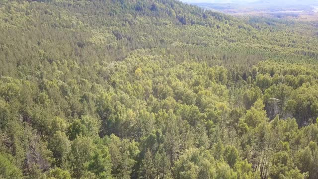 无人机镜头视图:飞行在日落柔和的光与森林，草地和山丘的夏季山脉。喀尔巴阡山脉。雄伟的景观。美丽的世界视频素材