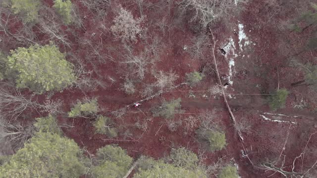 骑自行车的人在空旷的道路上穿过松树林，无人机的鸟瞰图。游客们骑着自行车在森林里探险。积极的冒险视频素材