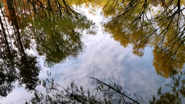 五颜六色的树木在湖中的倒影和多云的天空，4k慢镜头b卷。视频素材