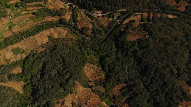 稻田及农田鸟瞰图视频素材