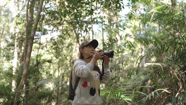 旅行者亚洲女人徒步在森林里视频素材