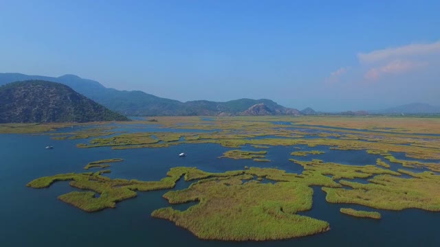 美丽的鸟瞰图芦苇在蓝色的水。山所包围了。船之旅。Iztuzu。无人驾驶飞机。视频素材