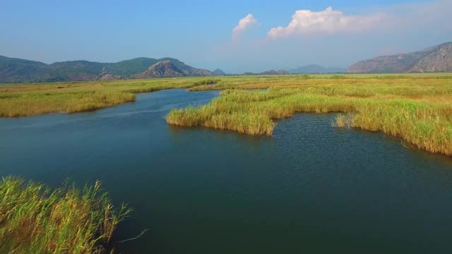 美丽的鸟瞰图芦苇在蓝色的水。山所包围了。Iztuzu。视频素材